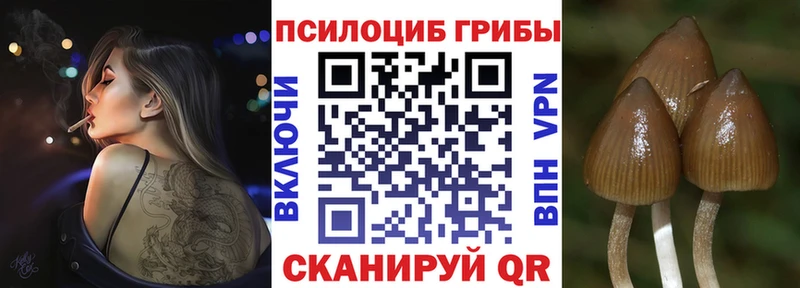 Купить закладки Ленинск Галлюциногенные грибы MAGIC MUSHROOMS